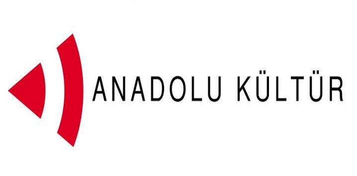 Anadolu Kültür: Gezi'nin bir örgütçe finanse edilmesi mümkün değil